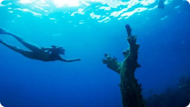 Diving-Coral-Reef-Florida Description - John Pennekamp Coral Reef State Park, Key Largo Imagine diving into crystal-clear waters and being greeted by a breathtaking underwater world. John Pennekamp Coral Reef State Park, home to the only living coral reef in the continental United States, offers divers the chance to swim alongside sea turtles, colorful fish, and even dolphins in a mesmerizing natural setting.