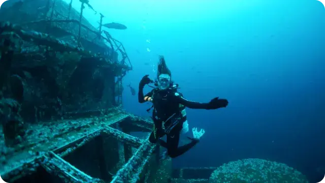 Discover Shipwrecks in South Florida Description South Florida's rich maritime history has left behind numerous shipwrecks that offer thrilling dive experiences. Explore the mysterious depths of the USS Spiegel Grove in Key Largo or the historic SS Copenhagen near Pompano Beach, both of which now serve as artificial reefs teeming with marine life.